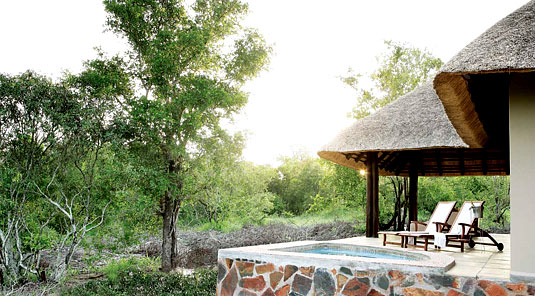 Luxury Rooms private plunge pool Arathusa Safari Lodge Sabi Sands Game Reserve Safari Lodge Accommodation booking