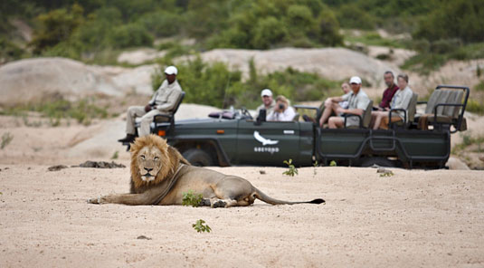 Sabi Sand Leadwood Lodge Daily Game Drives Dulini Private Game Reserve Safari Game Lodge Accommodation Bookings