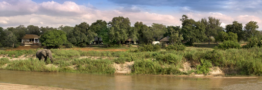 Sabi Sand Elephant Luxury African Safari Game Lodge Dulini River Lodge Dulini Private Game Reserve South Africa