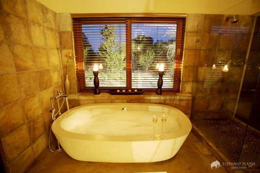 Manyeleti bathroom Elephant Plains Game Lodge Sabi Sand Game Reserve Accommodation Booking