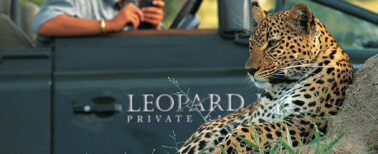 Leopard Sighting Game Drives South African Safari Leopard Hills Private Game Reserve Sabi Sand Game Reserve Accommodation Booking