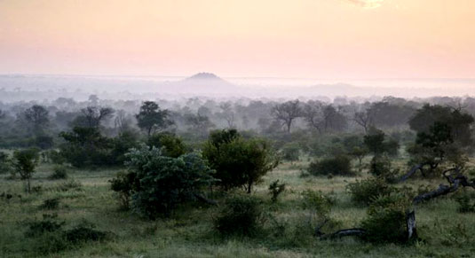 South African Safari Landscape View Luxury Londolozi Game Reserve Sabi Sand Private Game Reserve Accommodation Booking