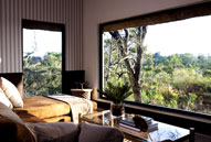 Luxury South African Safari Pioneer Camp Londolozi Game Reserve Sabi Sand Private Game Reserve