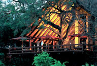 Luxury South African Safari Varty Camp Londolozi Game Reserve Sabi Sand Private Game Reserve