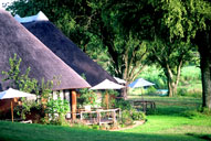 Game Lodge Bookings Main Camp Mala Mala Lodges Sabi Sand Private Game Reserve Accommodation Booking