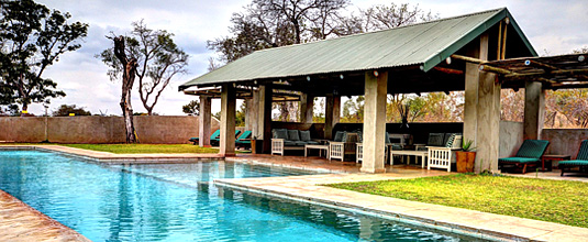 Swimming Pool Pavilion Nottens Bush Camp Nottens Private Game Reserve Sabi Sands Game Reserve Safari Lodge bookings