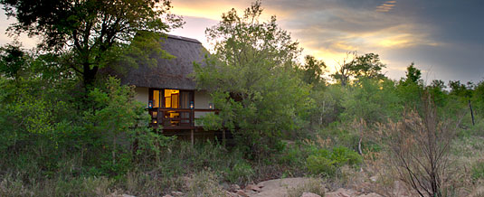 Luxury Suite Sabi Sabi Little Bush Camp Luxury Accommodation Sabi Sabi Private Game Reserve Sabi Sands Reserve Accommodation bookings