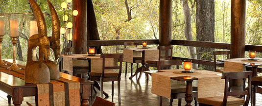 Main Lodge Dining Area Sabi Sabi Little Bush Camp Luxury Accommodation Sabi Sabi Private Game Reserve Sabi Sands Reserve Accommodation bookings