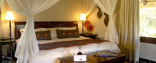 Luxury Suite Sabi Sabi Little Bush Camp Luxury Accommodation Sabi Sabi Private Game Reserve Sabi Sands Reserve Accommodation bookings