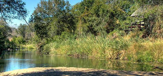 River View Sabi Sabi Little Bush Camp Luxury Accommodation Sabi Sabi Sabi Sands Reserve