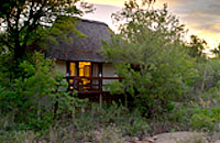 Little Bush Camp Sabi Sabi Private Game Reserve Sabi Sands Reserve Luxury