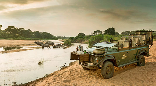 Game Drives Buffalo Drink Stop River Sabi Sands Savanna Private Game Lodge Luxury Accommodation Sabi Sands Game Reserve