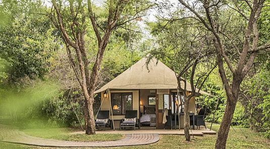 Luxury Tented Suite Luxury Accommodation Savanna Private Game Reserve Sabi Sands Reserve Accommodation bookings