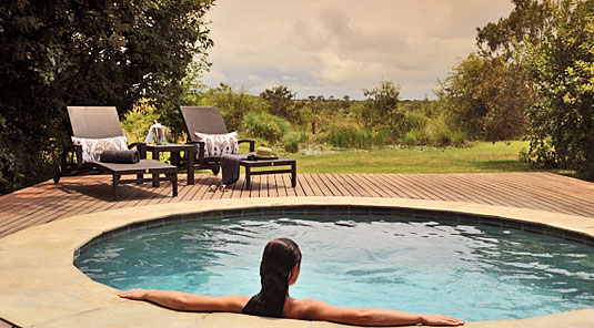 Savanna Suite Swimming pool Luxury Accommodation Savanna Private Game Reserve Sabi Sands Reserve Accommodation bookings