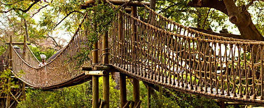 Swing Bridge to Tree House Safari Lodge at Ulusaba Private Game Reserve - Sabi Sand Private Game Reserve