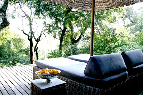 Londolozi - Tree Camp