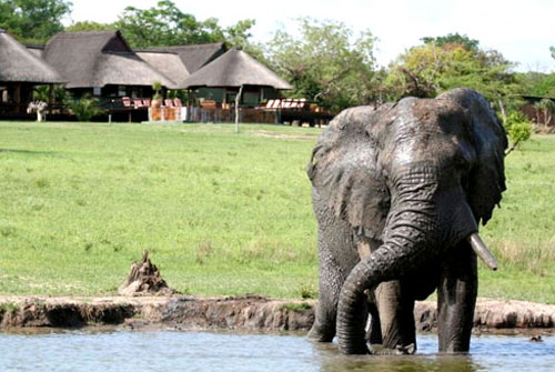 Nkorho Bush Lodge