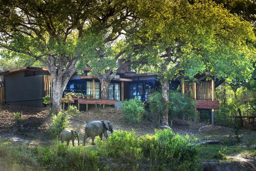 &Beyond Tengile River Lodge - Sabie and Sand Rivers Ecosystems - Greater Kruger National Park, South Africa