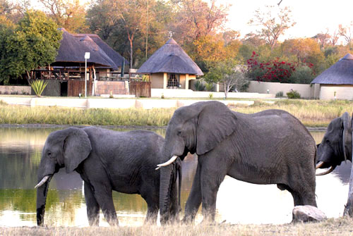 Arathusa Safari Lodge